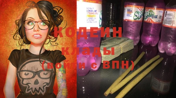 гидра Арсеньев
