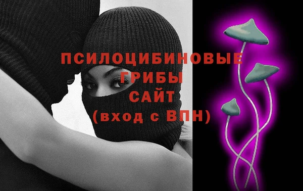 apvp Аркадак
