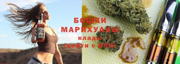 гидра Арсеньев