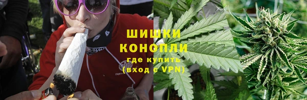 гидра Арсеньев