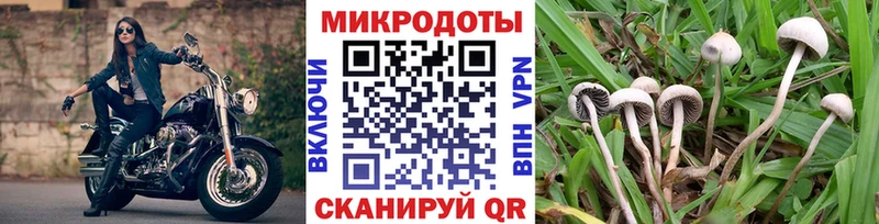 Псилоцибиновые грибы GOLDEN TEACHER где купить Тейково